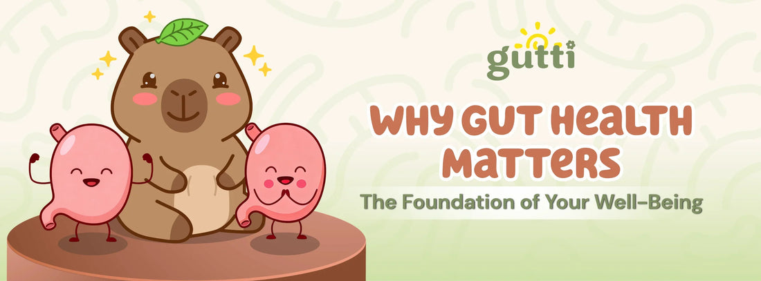 Why Gut Health Matters: The Foundation of Your Well-Being